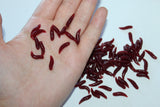Mini Worm Grubs
