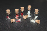 Variety Pack of Tooth Specimen Jars