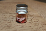 Pulled out Bloody Teeth Specimen Jar
