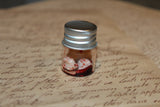 Pulled out Bloody Teeth Specimen Jar
