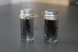 Fake Preserved Cockroach Specimen