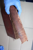 Rare Antique 1914 British Pharmacologica Medical Reference Book