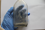 Vintage 1900s The Nyal Company Medicine Apothecary Bottle
