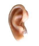 Unpainted Ear Prop