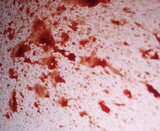FX Blood Spray