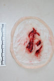 Mangled Wounds Prosthetic