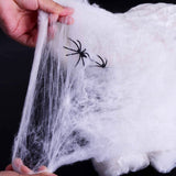Spiders Web Prop