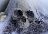 Spiders Web Prop