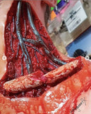 Skinned Alive Prosthetic Bundle