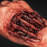 Exposed Hand Ligaments Prosthetic