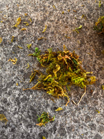 Artificial Moss