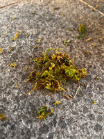 Artificial Moss