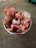 Silicone Eyeball Flesh Display Prop