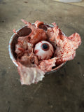 Silicone Eyeball Flesh Display Prop