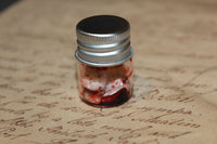 Pulled out Bloody Teeth Specimen Jar