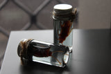 Fake Preserved Cockroach Specimen