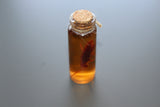 Simulated 5x Preserved Cockroaches Specimen