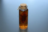 Simulated 5x Preserved Cockroaches Specimen