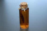 Simulated 5x Preserved Cockroaches Specimen