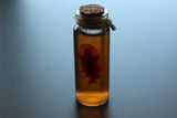 Simulated 5x Preserved Cockroaches Specimen