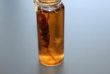 Simulated 5x Preserved Cockroaches Specimen