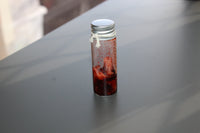 Crime Scene Body Flesh Specimen Vials