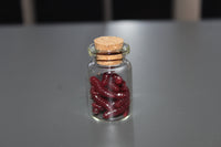 Mini Brown/Red Worms Specimen Vial