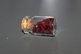 Mini Brown/Red Worms Specimen Vial