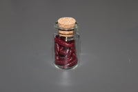 Mini Brown/Red Worms Specimen Vial