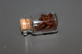 Long Worms in Specimen Vial