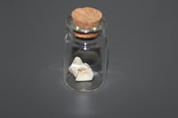 Simulated Snake Bone Specimen Vial