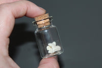 Simulated Snake Bone Specimen Vial