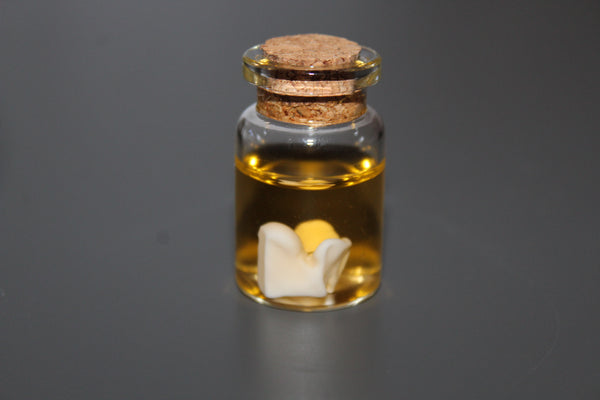 Simulated Preserved Snake Bone Vial