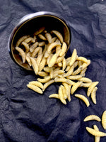 Maggots in Metal Medical Cup Prop