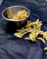Maggots in Metal Medical Cup Prop