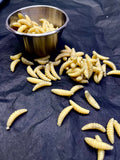 Maggots in Metal Medical Cup Prop