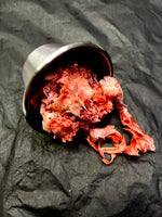 Body Tissue/Brain Matter Metal Medical Cup Prop