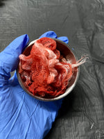 Fresh Bloody Bandages Medical Cup Prop