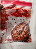 Fake Bloody Brain Transplant Bag Prop
