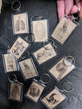 Medical Anatomy Keyrings