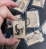 Medical Anatomy Keyrings