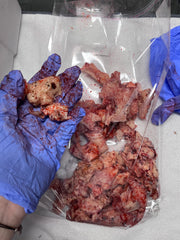 Silicone Body Flesh Brain Matter Tissue Prop