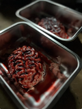 Silicone Severed Brain Specimen Prop