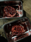 Silicone Severed Brain Specimen Prop