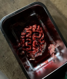 Silicone Severed Brain Specimen Prop