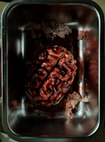 Silicone Severed Brain Specimen Prop