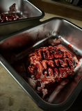 Silicone Severed Brain Specimen Prop