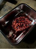 Silicone Severed Brain Specimen Prop