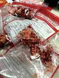 Fake Specimen Organ Flesh Transplant Bag Prop