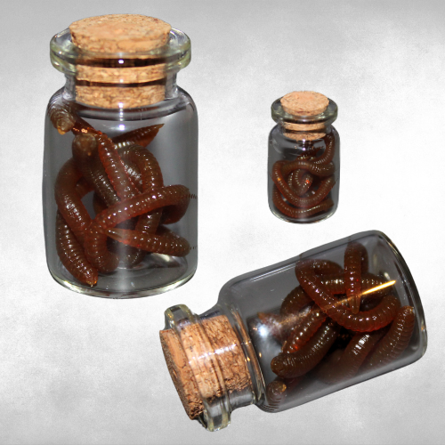 Long Worms in Specimen Vial